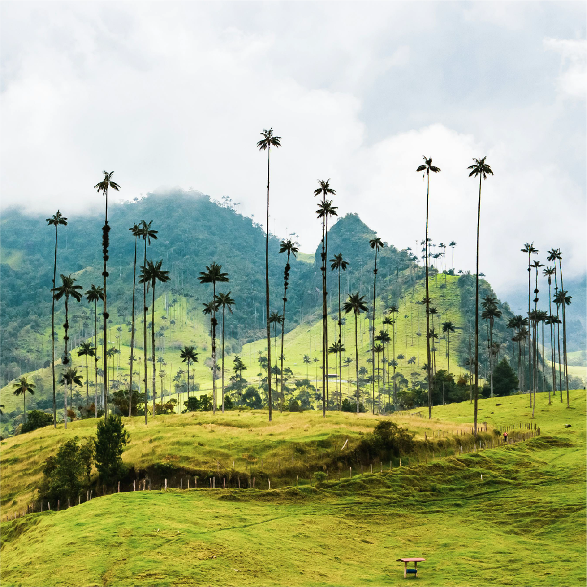 colombia