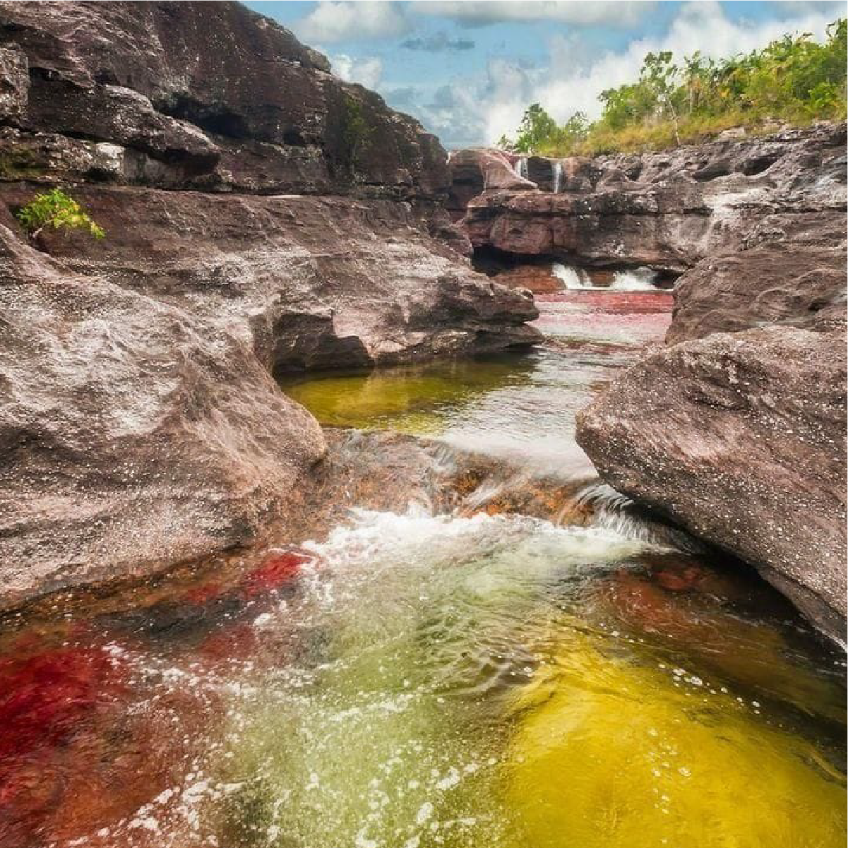 Caño cristales